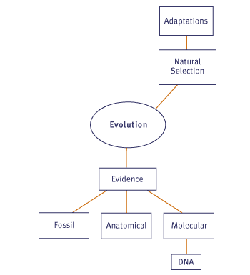 Image of a sample concept map.