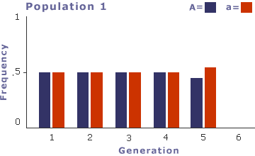 A bar chart representing an imaginary population reaching the Hardy-Weinberg equilibrium in one generation.