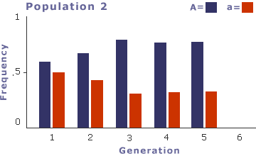 A bar chart representing in a shift of genotype frequencies within the population.