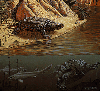 [Turtles]