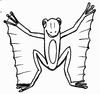[Flying Frog]