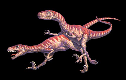 [Deinonychus]