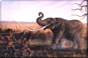 [Mastadon]