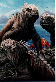 [Iguanas]