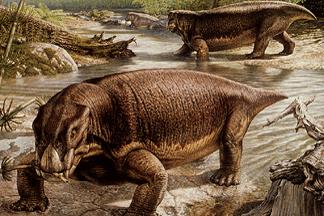 [Lystrosaurus]