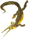 [Mesosaurus]