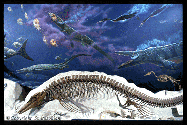 [Mosasaurs]