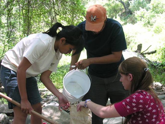 Collecting macroinvertebrates