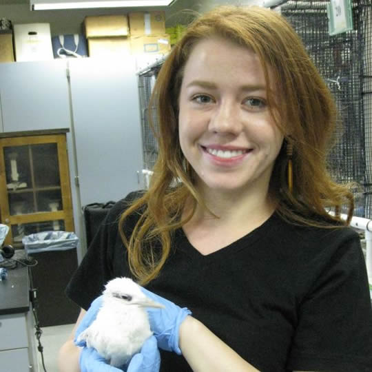 Picture of Tracie Treybig