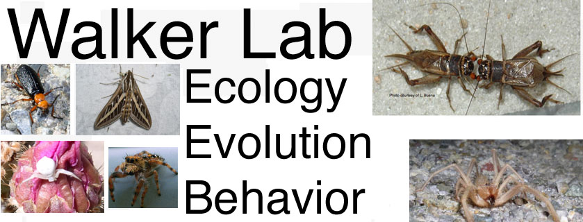 Lab Logo-Text Saying Walker Lab with Images of Insects